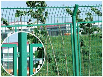 小區護欄網批發、小區護欄網生產廠家/歐齊網業(圖)、小區護欄網供應圖片_高清圖_細節圖-安平縣歐齊絲網制品 -